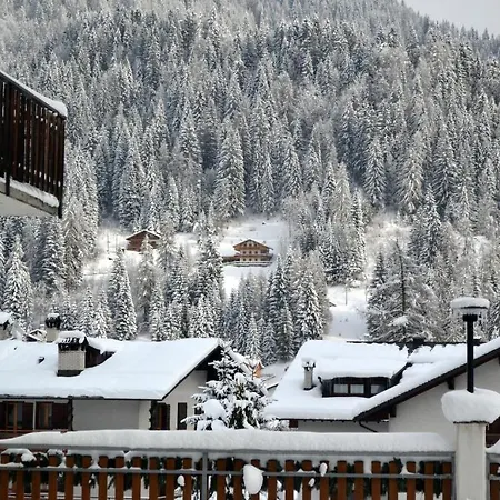 Hotel Pineta-3